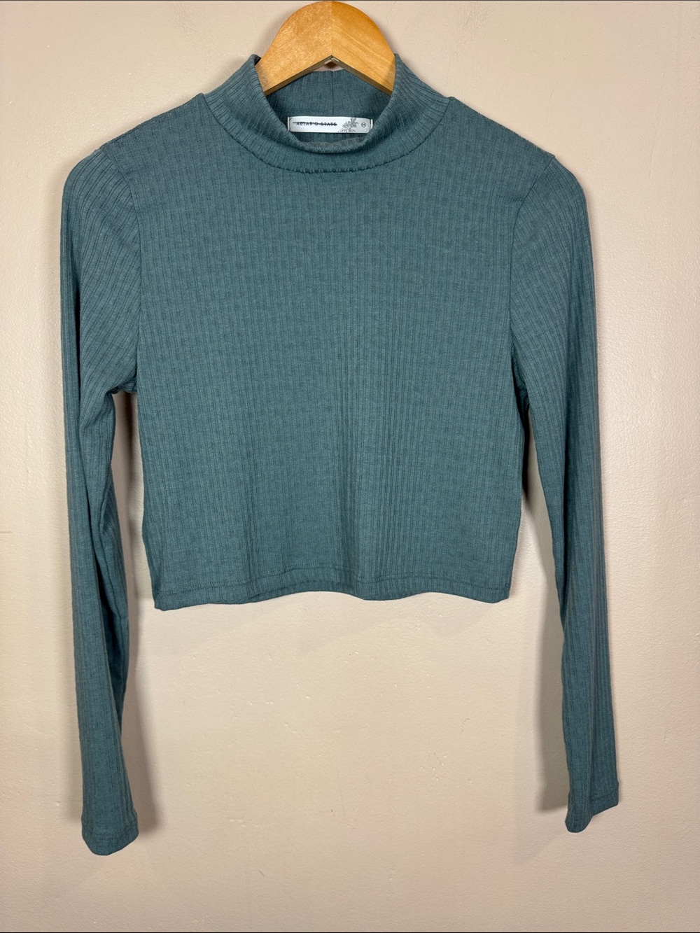 Altar'd State Teal Ribbed Cropped Mock Neck Long Sleeve Top M Boho Y2K 90s